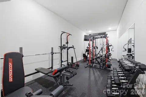 Dedicated home gym on the lower level