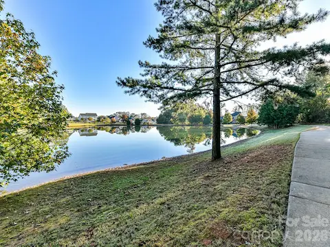 Pond