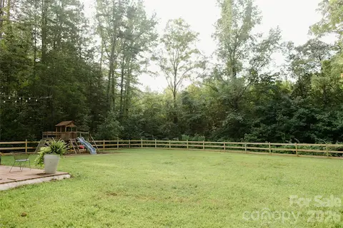 back yard