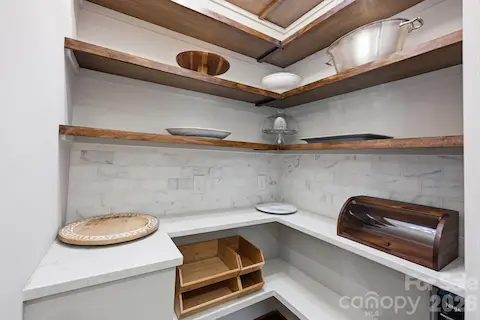 Beautiful Modern Pantry