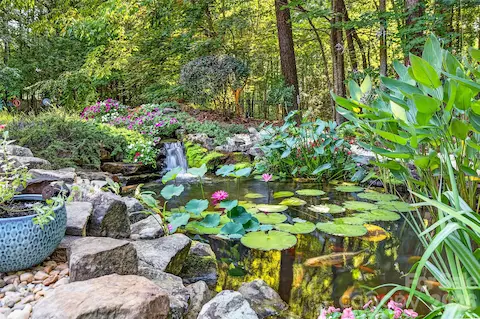 Expansive Koi Pond