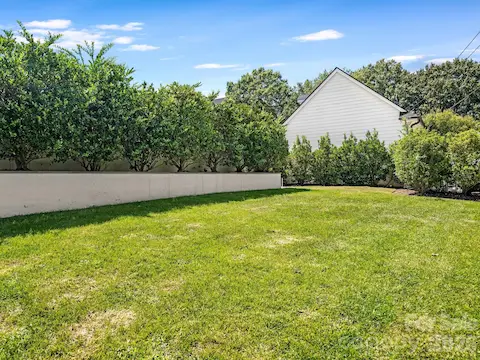 Rear Yard