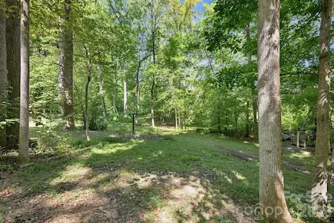 Mature Hardwoods Over 2.8+ Acres