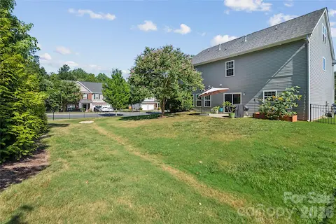 Back Yard Side View